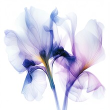 Iris Flower Image Mimicking An X-ray Photo. Generative AI.