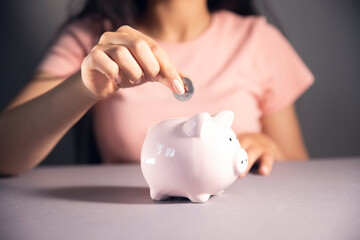 Wall Mural - women holding a piggy bank and coin