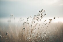 Blossoming Grass With A Gentle Breeze Against A Misty Sky In The Morning. This Image Is Calm And Serene, With A Straightforward Zen Tone. Nature In Pastel Tones In Spring. Generative AI