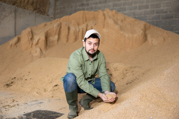 Wall Mural - Male farmer holding a handful of soybean husks in an animal feed warehouse