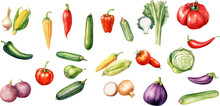 Set Of Watercolor Mixed Vegetables Easy To Draw, White Background 