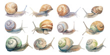 Watercolor Snail Clipart For Graphic Resources