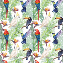 Watercolor Seamless Pattern With Tropical Birds And Greenery. Illustration Of Cockatoo Parrot, Macaw Parrot, Hummingbird And Toucan. Print With Wild Tropical Nature And Exotic Birds.