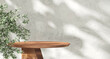 © Sue Tansirimas - Stylish, modern, round wooden pedestal side table podium, tropical tree in sunlight, leaf shadow on white natural stone wall. Luxury organic cosmetic, skincare, body care, beauty product background 3D