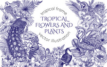 Vector Frame With Tropical Garden With Exotic Birds. Macaw Parrot, Toucan, Hoopoe, Peacock, Flamingos And Cockatiel Parrot In Engraving Style