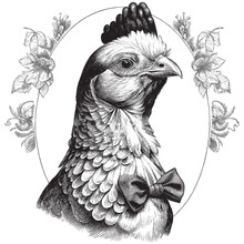 Hand Drawn Engraving Pen And Ink Chicken Portrait Dressed In Victorian Era Vintage Vintage Vector Illustration