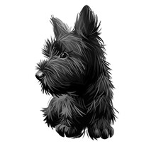 Skye Terrier Lap Dog Tiny Pet Of Small Size Digital Art. Puppy Looking In Distance Breeding Domestic Animal Closeup Watercolor Portrait
