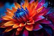 Leinwandbild Motiv macro close-up photography of vibrant color flower as a creative abstract background, generative ai