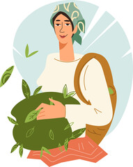 Wall Mural - Woman picking tea leaves, flat vector illustration isolated on white background. Banner or label, sticker design with woman character for tea packs.