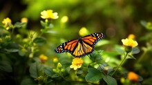 Βutterfly On Flower Closeup, Springtime, Spring Nature, Wild Flowers Field. Generative AI	