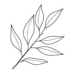 Lemon branch with leaves. Line art, minimalistic design.