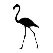 Flamingo Walking Silhouette