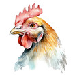 Aquarell-Handzeichnung eines Huhns: Lebendige Tierdarstellung in Wasserfarben