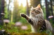 Lifestyle portrait photography of a happy siberian cat paw-licking against a forest background. With generative AI technology