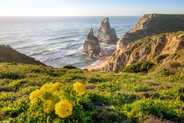 Wall Mural - Portugal Ursa Beach at atlantic coast of Atlantic Ocean with rocks and sunset sun waves and foam at sand of coastline picturesque landscape panorama.