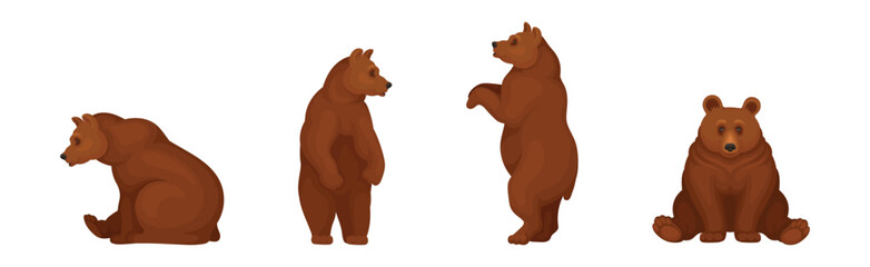 Wall Mural - large brown bear in different pose vector set