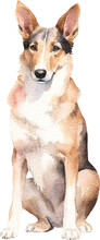 Smooth Collie Dog Sitting Watercolour Illustration Created With Generative AI Technology