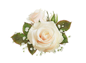 Floral arrangement with cream rose and gypsophila flowers isolated on white or transparent background