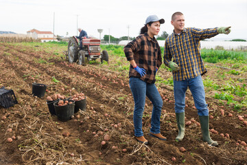 Wall Mural - European man and Asian woman farmers standing on potato field. Man pointing with finger.