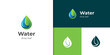 water Drop and Leaf Logo Symbol Simple Nature Logo icon design
