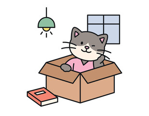 Wall Mural - cute cat. the cat in the box is sitting with a cozy and comfortable expression.