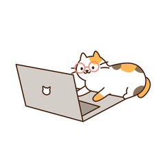 Wall Mural - Cute cat. A tricolor cat wearing glasses is working on a computer.