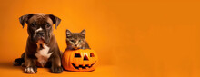 Animal Cat And Dog , Autumn And Halloween Season With Generative Ai
