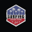 Illustration surf and surfing in California, Malibu. Vintage design. Typography, t-shirt graphics, poster, banner, flyer, postcard