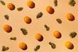 © Clique Images - Tangerines and fir twigs
