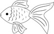 Illustration of a goldfish in line. Element for print, postcard and poster, vector illustration