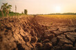 Severe soil erosion in agricultural fields, Climate change and environmental degradation, climate change, pollution, bokeh Generative AI