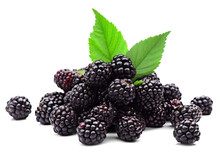 Blackberries In A Pile Isolated On A Transparent Or White Background, Png