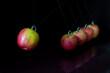 Abstract concept of Newton's cradle made from ripe apples. Executive toy.