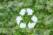 © Pannipa - environment sustainable circular economy for future growth of business Carbon neutral and net zero environment A climate-neutral long-term strategy greenhouse  targets on nature background