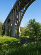 The Ohio Route 82 bridge arches soaring high above the Cuyahoga Valley in Cuyahoga Valley National Park just south of Cleveland, with wildflowers growing below.