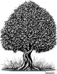 Poster - illustration of a tree