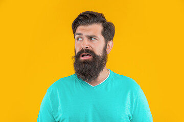 Wall Mural - portrait of confused bearded man isolated on yellow. portrait of bearded man in studio.