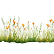 line of grass with orange flowers in watercolor design isolated against transparent