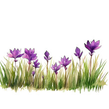 Line Of Grass With Purple Flowers In Watercolor Design Isolated Against Transparent