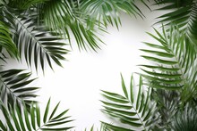 Green Leaves Of Palm Trees On A White Background Mock Up Empty Space For Text Generative AI