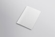 © Pixode - Realistic top view cover and opened portrait A4 or A5 magazine or brochure booklet for stationery and branding. Mockup template isolated light grey background and leaf shadow overlay. 3D rendering.