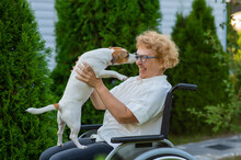 Elderly Caucasian Woman Hugging A Jack Russell Terrier Dog While Sitting In A Wheelchair On A Walk Outdoors. 