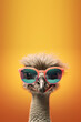 Creative animal concept. Ostrich bird in sunglass shade glasses isolated on solid pastel background, commercial, editorial advertisement, surreal surrealism. 