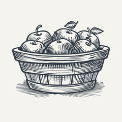 woven basket with apples. vintage woodcut engraving style vector illustration.