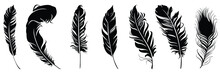 Detailed Majestic Feather Collection. Various Set Of Feathers Illustration