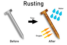 Rusting Of Iron Nail Experiment Diagram