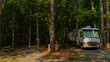 Rv motorhome campsite tall trees lots of copy space early morning sunrise light