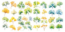 Watercolor Ginkgo Leaves Clipart For Graphic Resources