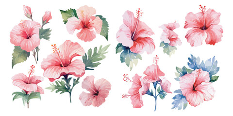 watercolor hibiscus clipart for graphic resources