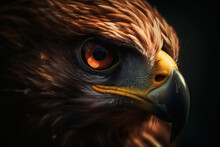 A Close-up Of An Eagle Head Isolated On A Black Background  Isolated On A Black Background Generative Ai